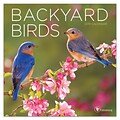 2019 TF Publishing 7 X 7 Backyard Birds Mini Calendar (19-2001)