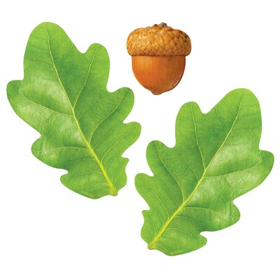 Trend Oak Leaves & Acorns Classic Accents®, 108/Pack (T-10097)