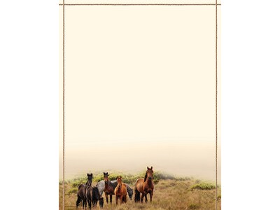 Great Papers! Horse Meadow Everyday Letterhead, Multicolor, 80 Per Pack (2019048)