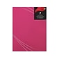 Great Papers Petal Touch Certificate Holders, 9.34" x 12", Pink, 5/Pack (2019000)