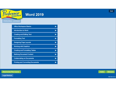 Individual Software Professor Teaches Word 2019 for 1 User, Windows, Disk and Download (PRF-WC19)