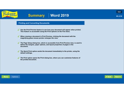 Individual Software Professor Teaches Word 2019 for 1 User, Windows, Disk and Download (PRF-WC19)