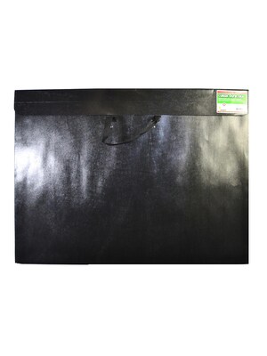 STAR 23x 31 Dura-Tote Art Portfolios, Black (V423H BLK)