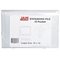 JAM Paper® 13 Pocket Plastic Expanding File, Accordion Folders, Legal Size, 10 x 15, Clear, Sold Individually (2167014)