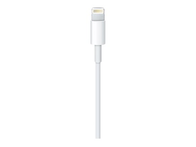 Apple Lightning to USB Cable for iPhone/iPad/iPod Touch, White (MD819AM/A)