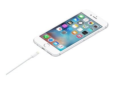 Apple Lightning to USB Cable for iPhone/iPad/iPod Touch, White (MD819AM/A)