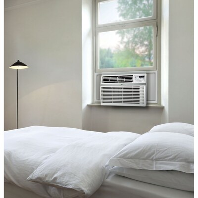 LG 18,000 BTU 230V Window-Mounted Air Conditioner with Remote Control