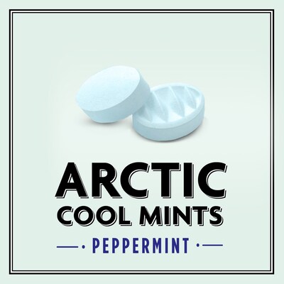 Altoids Sugar Free Peppermint Mints, 9.6 oz., 8 Pieces/Pack, 8/Box (209-00488)