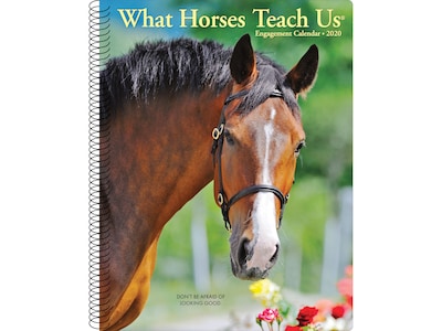 2020 Willow Creek 7 x 8.66 Planner, What Horses Teach Us, Multi Colors (09345)