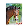 2020 Willow Creek 7 x 8.66 Planner, What Horses Teach Us, Multi Colors (09345)