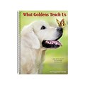 2020 Willow Creek 7 x 8.66 Planner, What Goldens Teach Us, Multi Colors (09338)