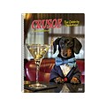 2020 Willow Creek 7 x 8.66 Planner, Crusoe The Celebrity Dachshund, Multi Colors (09284)
