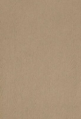 LUX Woodgrain Colored Paper, 30 lbs., 13 x 19, Oak Woodgrain, 1000 Sheets/Pack (1319-P-S01-1000)