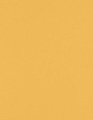 LUX Colored Paper, 28 lbs., 8.5 x 11, Brown Kraft, 1000 Sheets/Pack (81211PBK281000)