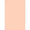 LUX Colored Paper, 32 lbs., 13 x 19, Blush, 1000 Sheets/Pack (1319-P-114-1000)