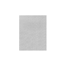 LUX Sparkle Colored Paper, 35 lbs., 11 x 17, Silver Sparkle, 50 Sheets/Pack (1117-P-MS01-50)