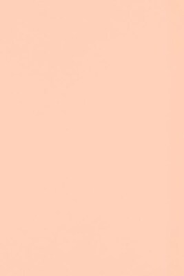 LUX Colored Paper, 32 lbs., 12 x 18, Blush, 250 Sheets/Pack (1218-P-114-250)