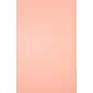 LUX Colored Paper, 32 lbs., 11" x 17", Blush, 50 Sheets/Pack (1117-P-114-50)