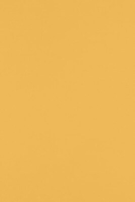 LUX Colored Paper, 28 lbs., 12 x 18,  Brown Kraft, 50 Sheets/Pack (1218-P-BK28-50)
