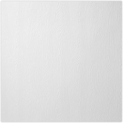 LUX 12 x 12 Cardstock 50/Pack, White Birch Woodgrain (1212-C-S02-50)