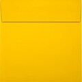 LUX 5 x 5 Square Envelopes 50/Pack, Sunflower (LUX-8505-12-50)