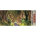 2018 Willow Creek Press 15 x 6.5 Tree Panoramic Wall Calendar (47690)