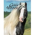 2018 Willow Creek Press 6.5 x 8.5 Gypsy Vanner Horse Engagement Calendar (47461)