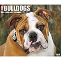 2018 Willow Creek Press 4.25 x 5.25 Just Bulldogs Box Calendar (46716)