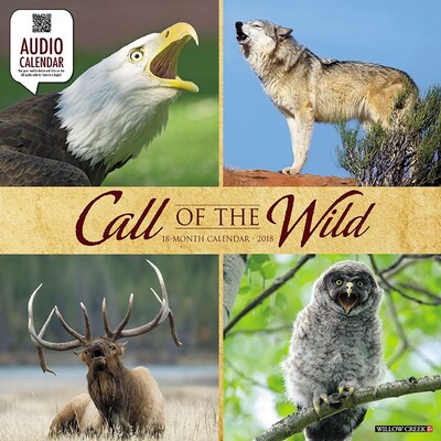 2018 Willow Creek Press 12 x 12 Call of the Wild Wall Calendar (44378)