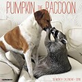 2018 Willow Creek Press 12 x 12 Pumpkin the Raccoon Wall Calendar (45894)