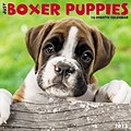 2018 Willow Creek Press 12 x 12 Boxer Puppies Wall Calendar (44248)