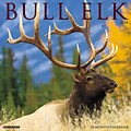 2018 Willow Creek Press 12 x 12 Bull Elk Wall Calendar (44293)