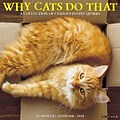 2018 Willow Creek Press 12 x 12 Why Cats Do That Wall Calendar (46471)