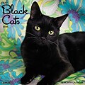 2018 Willow Creek Press 12 x 12 Black Cats Wall Calendar (44163)