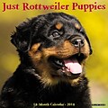 2018 Willow Creek Press 12 x 12 Rottweiler Puppies Wall Calendar (45962)