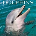2018 Willow Creek Press 12 x 12 Dolphins Wall Calendar (44774)