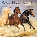 2018 Willow Creek Press 12 x 12 What Horses Teach Us Wall Calendar (46426)
