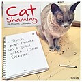 2018 Willow Creek Press 12 x 12 Cat Shaming Wall Calendar (44408)