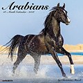 2018 Willow Creek Press 12 x 12 Arabians Wall Calendar (43982)