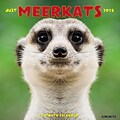 2018 Willow Creek Press 12 x 12 Meerkats Wall Calendar (45498)