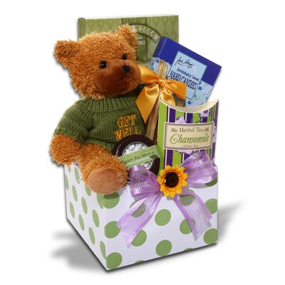 Alder Creek Gift Baskets Feel Better Soon Gift (FG05587)