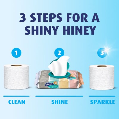 Charmin Flushable Wipes, White, 40 Sheets/Pack, 4/Pack (79619)