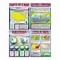 McDonald Publishing, Basic Map Skills Teaching Poster Set 22" x 17.5", 9/set (MC-P222)