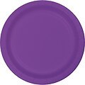 Touch of Color Amethyst Purple Plastic Banquet Plates 20 pk (318919)