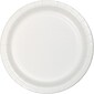 Creative Converting White Paper Plates, 225 Count (DTC483272BDPLT)