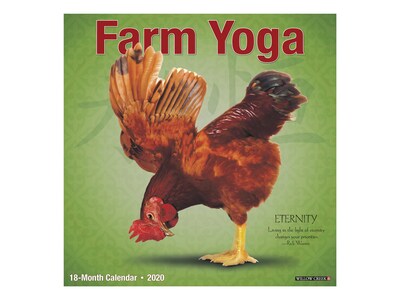 2020 Willow Creek 12 x 12 Wall Calendar, Farm Yoga, Multicolor (06283)