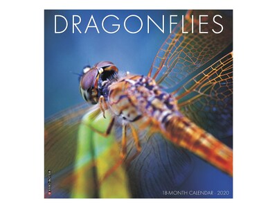 2020 Willow Creek 12 x 12 Wall Calendar, Dragonflies, Multicolor (09147)