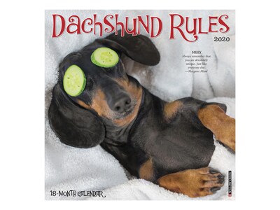 2020 Willow Creek 12 x 12 Wall Calendar, Dachshund Rules, Multicolor (06139)
