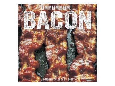 2020 Willow Creek 12 x 12 Wall Calendar, MMMMMMMM... Bacon, Multicolor (09451)