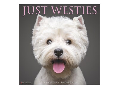2020 Willow Creek 12 x 12 Wall Calendar, Just Westies, Multicolor (08171)